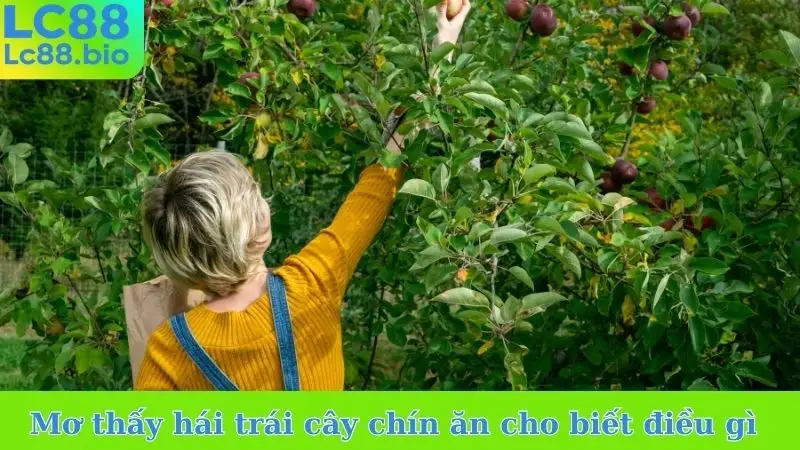 Nằm mơ thấy hái trái cây chín ăn cho biết điều gì