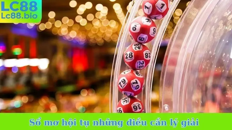 Sổ mơ hội tụ những điều cần lý giải